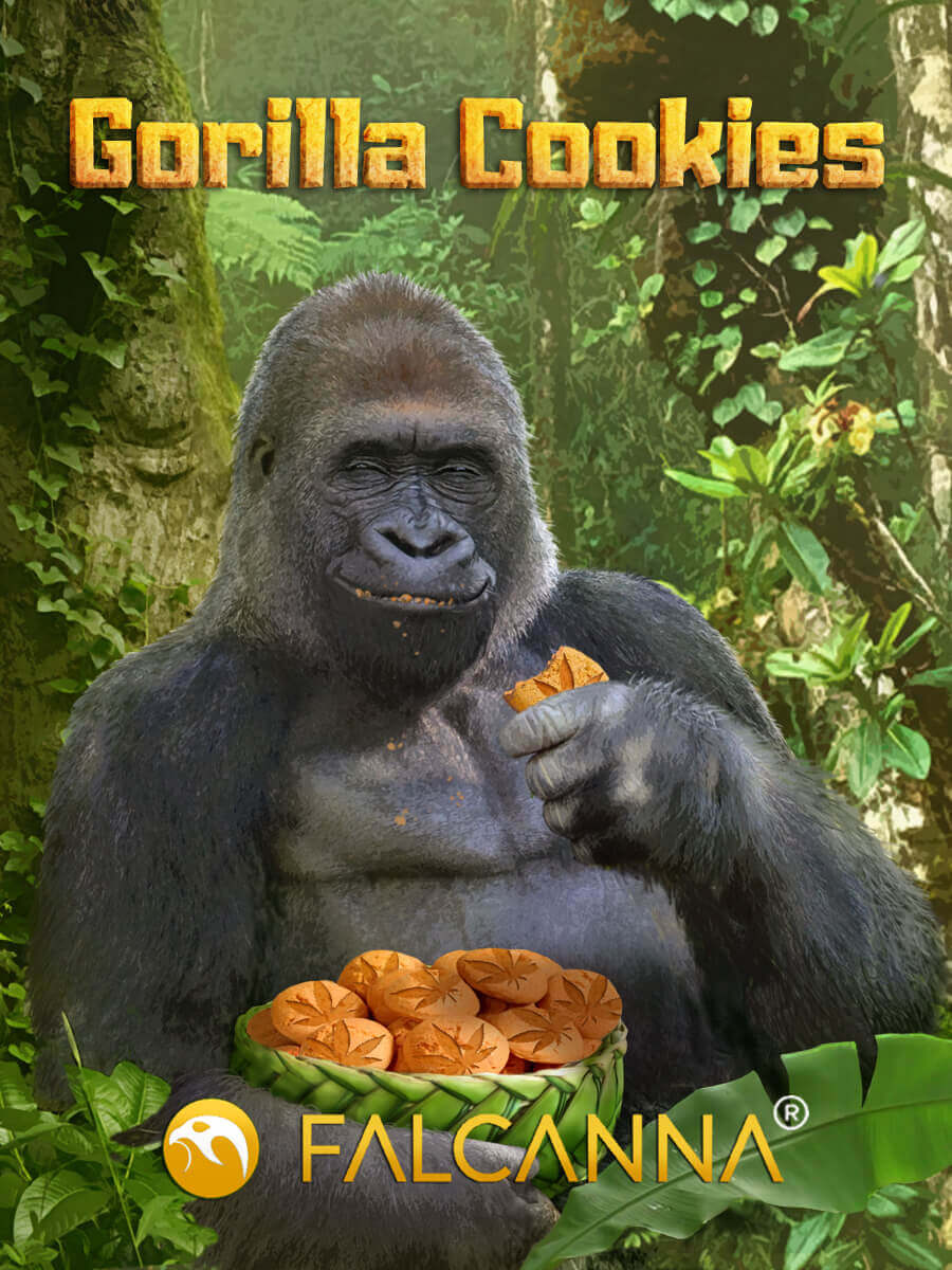 Gorilla Cookies