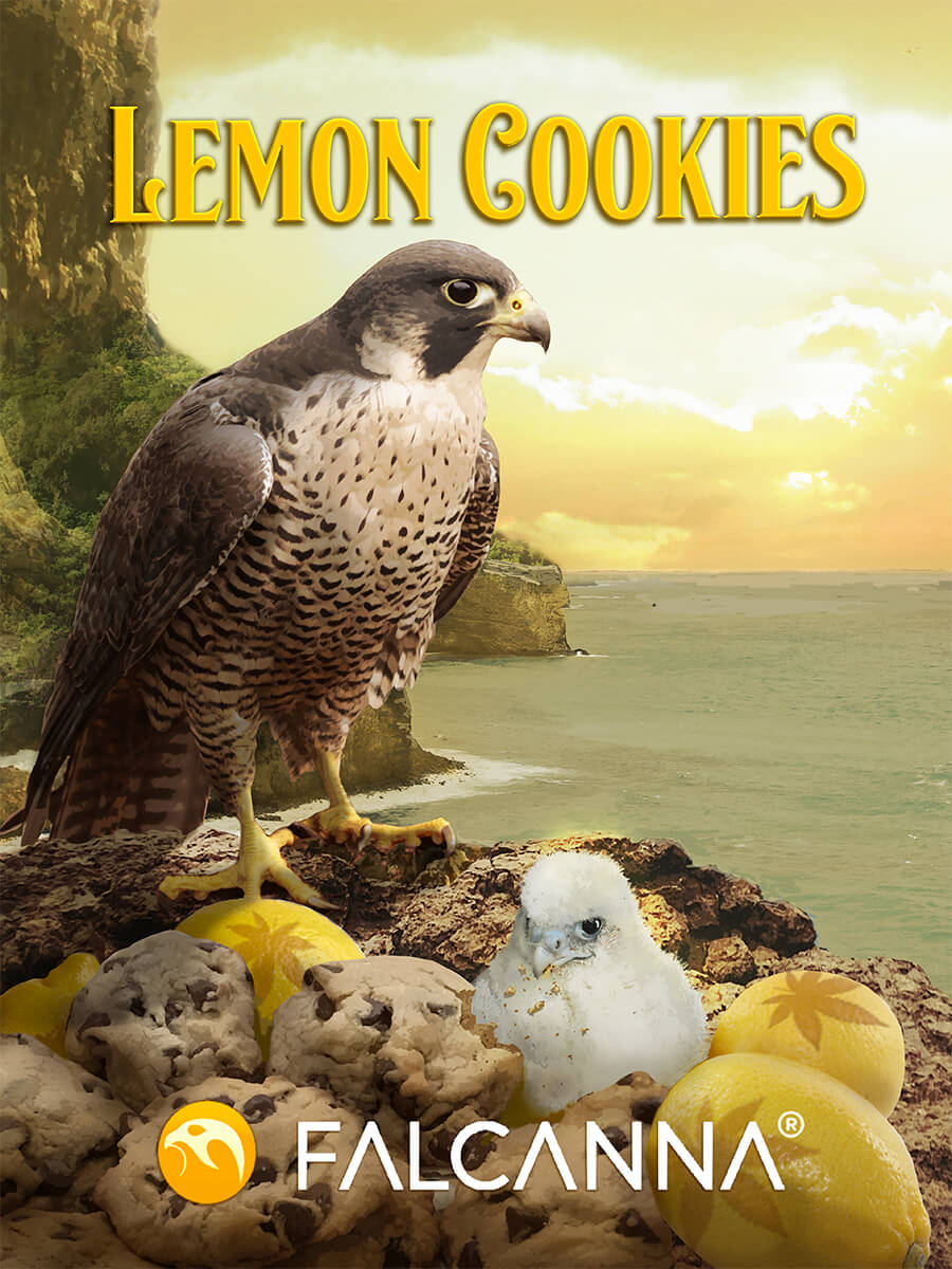 Lemon Cookies