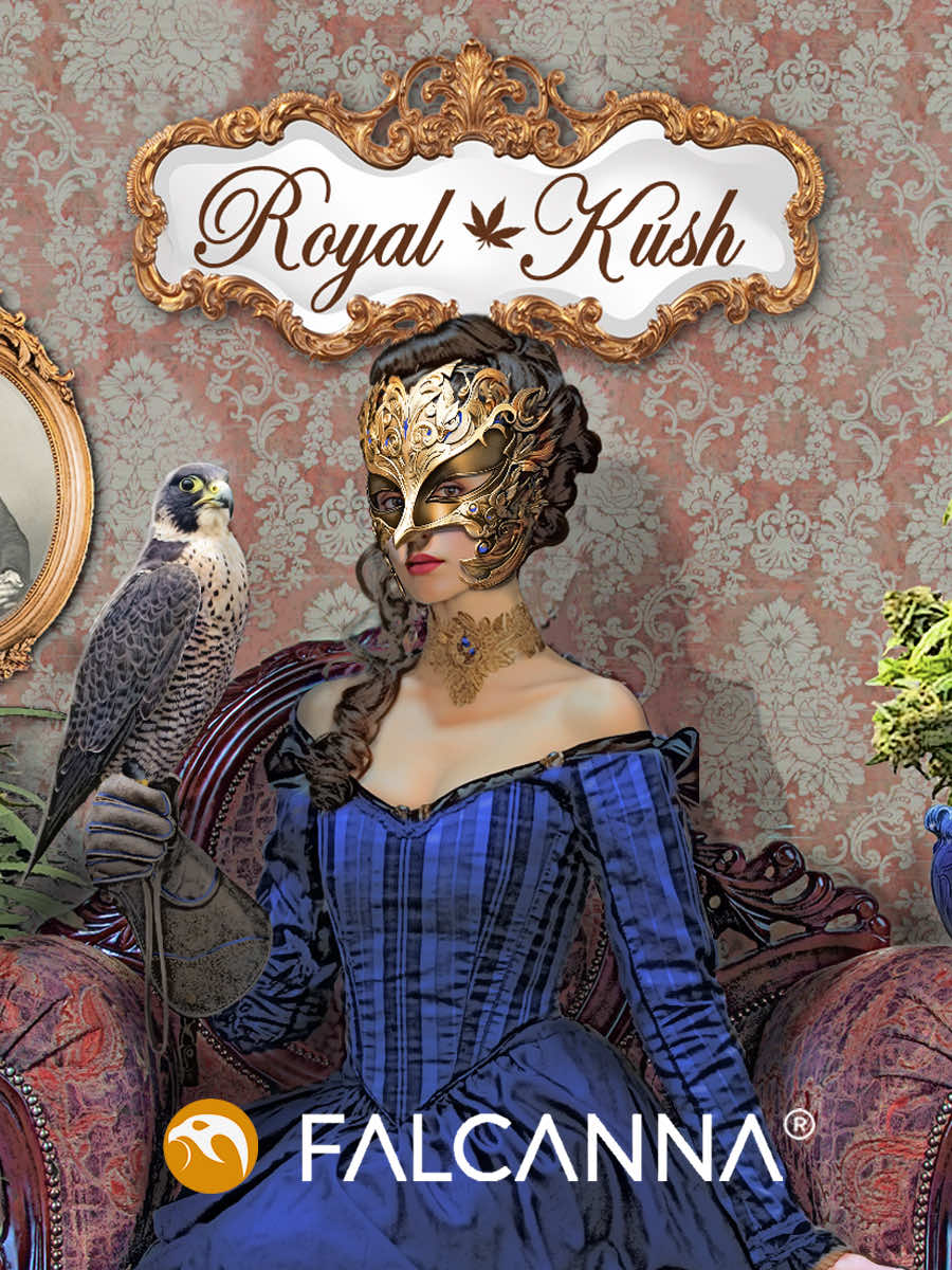 Royal Kush